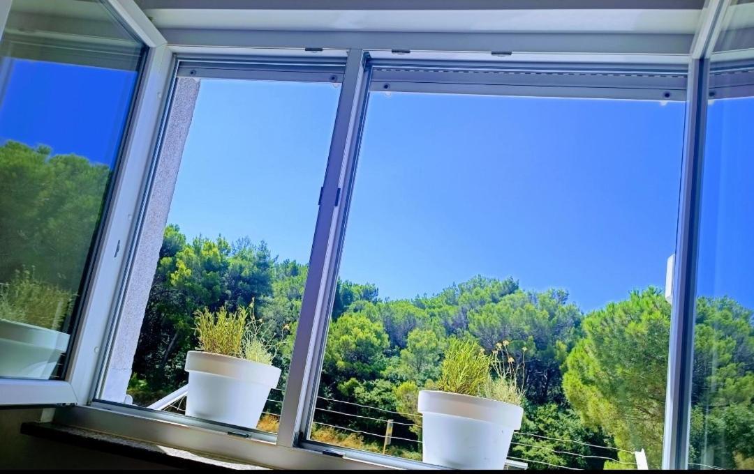 Apartment Secret Ingridients